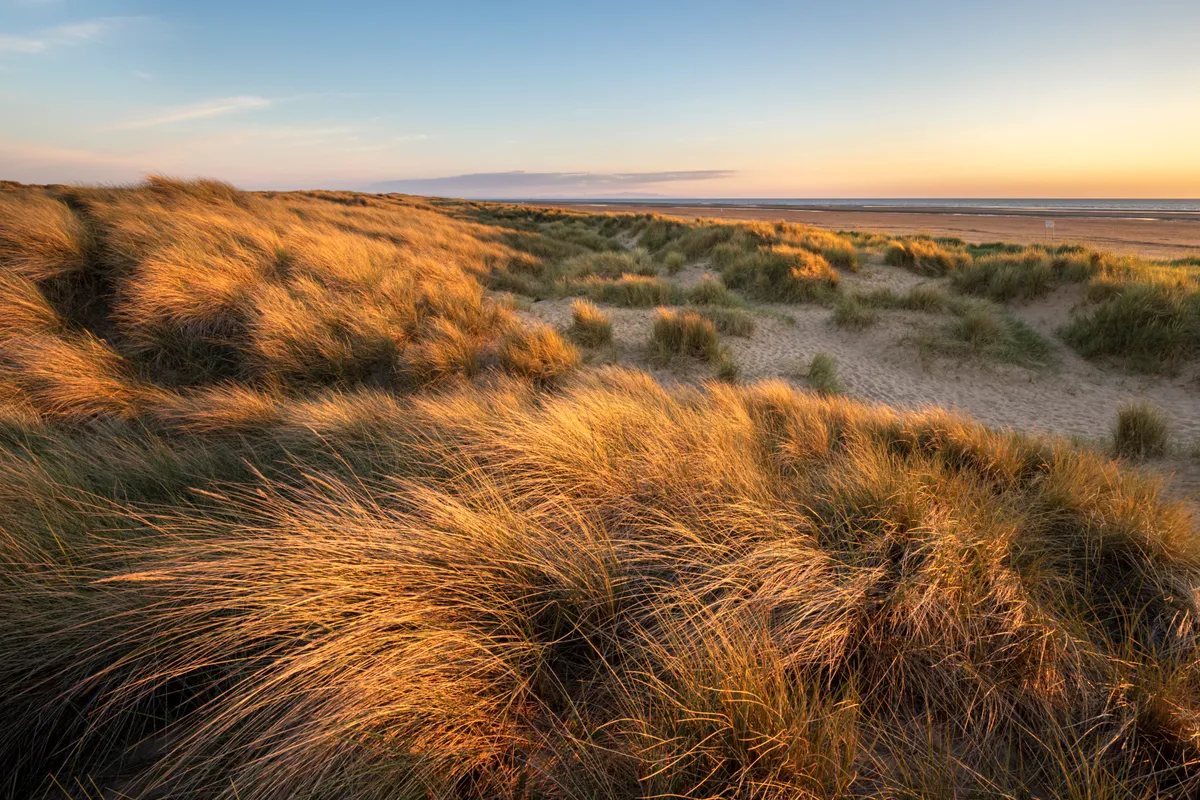 Sefton Coast dunes at sunset